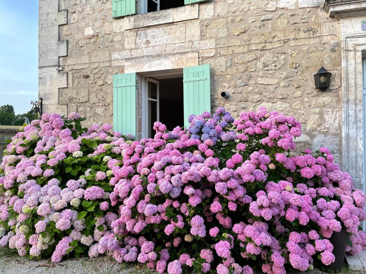 La Maison D'Hortense Et Lili Allemans Εξωτερικό φωτογραφία